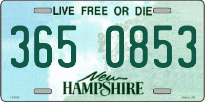 NH license plate 3650853