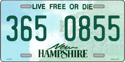 NH license plate 3650855