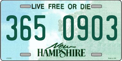NH license plate 3650903