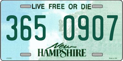 NH license plate 3650907