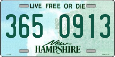 NH license plate 3650913