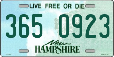 NH license plate 3650923