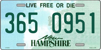 NH license plate 3650951