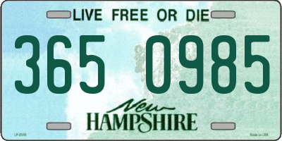 NH license plate 3650985