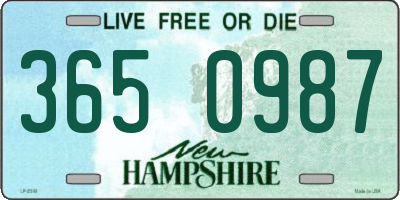 NH license plate 3650987