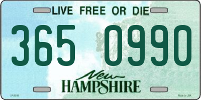 NH license plate 3650990