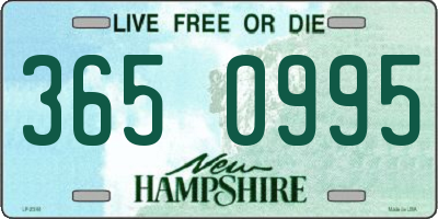 NH license plate 3650995