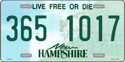 NH license plate 3651017
