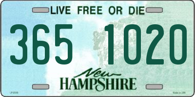 NH license plate 3651020