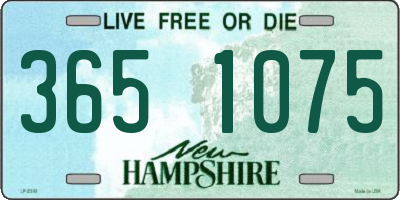 NH license plate 3651075