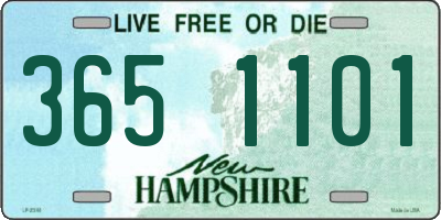 NH license plate 3651101