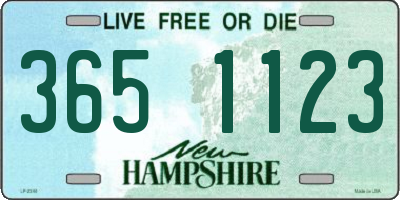 NH license plate 3651123