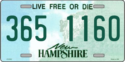 NH license plate 3651160