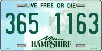 NH license plate 3651163