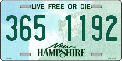 NH license plate 3651192