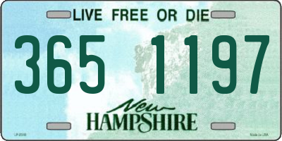 NH license plate 3651197