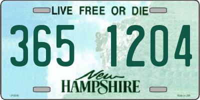 NH license plate 3651204