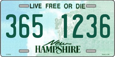 NH license plate 3651236
