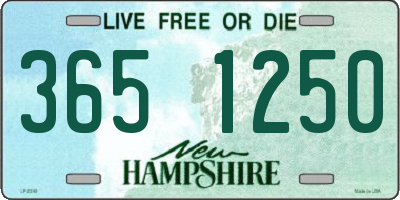 NH license plate 3651250