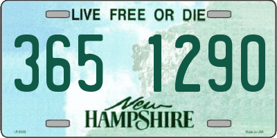 NH license plate 3651290