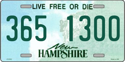 NH license plate 3651300