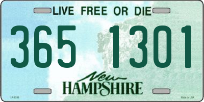 NH license plate 3651301