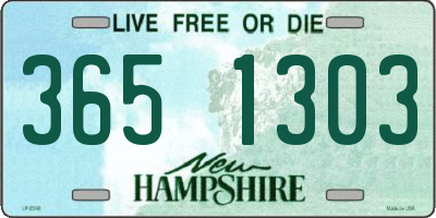 NH license plate 3651303