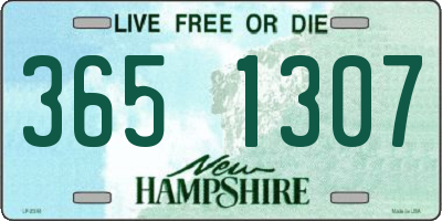 NH license plate 3651307