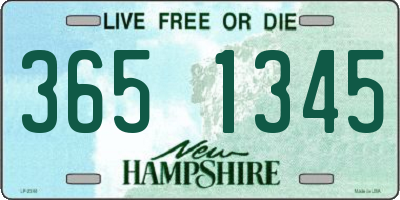 NH license plate 3651345
