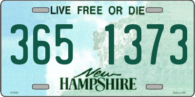 NH license plate 3651373