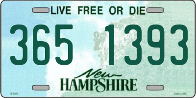 NH license plate 3651393