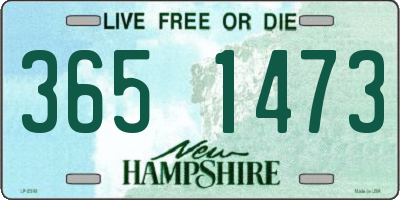 NH license plate 3651473