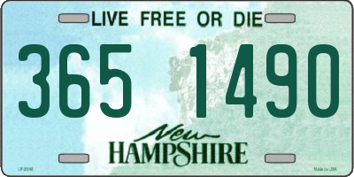 NH license plate 3651490