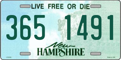 NH license plate 3651491