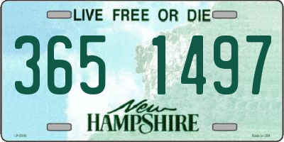 NH license plate 3651497
