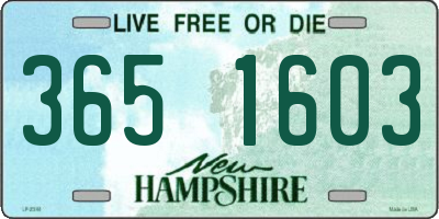 NH license plate 3651603