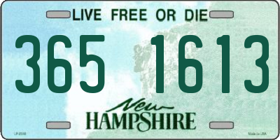 NH license plate 3651613