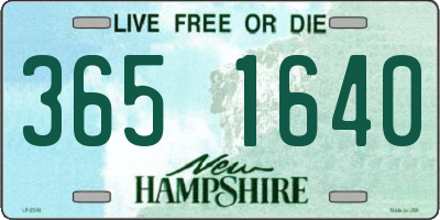 NH license plate 3651640