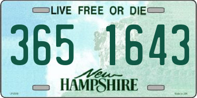 NH license plate 3651643