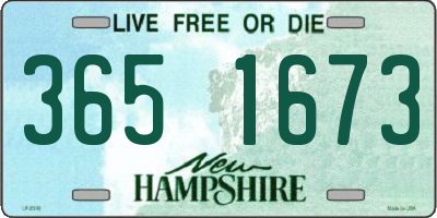 NH license plate 3651673