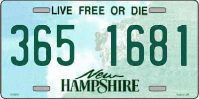 NH license plate 3651681