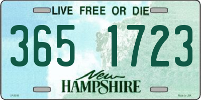 NH license plate 3651723
