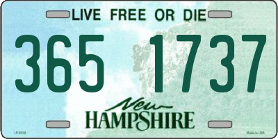 NH license plate 3651737