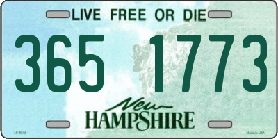 NH license plate 3651773