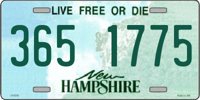 NH license plate 3651775