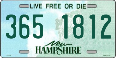 NH license plate 3651812