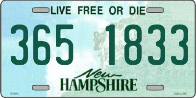 NH license plate 3651833