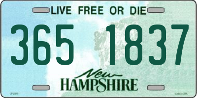 NH license plate 3651837