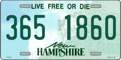 NH license plate 3651860
