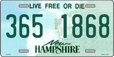NH license plate 3651868